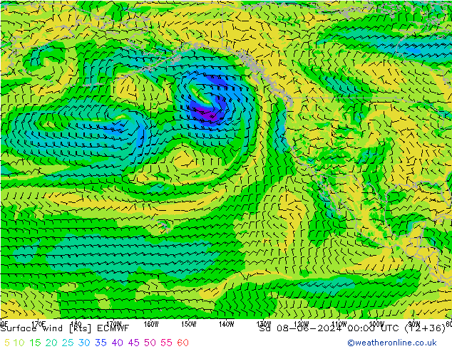 Surface wind ECMWF Sa 08.06.2024 00 UTC