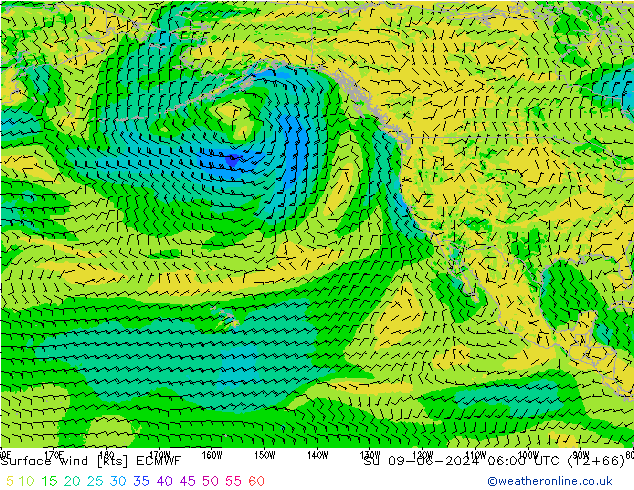 ветер 10 m ECMWF Вс 09.06.2024 06 UTC