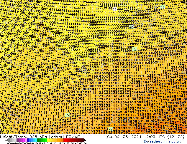 Hoogte/Temp. 925 hPa ECMWF zo 09.06.2024 12 UTC