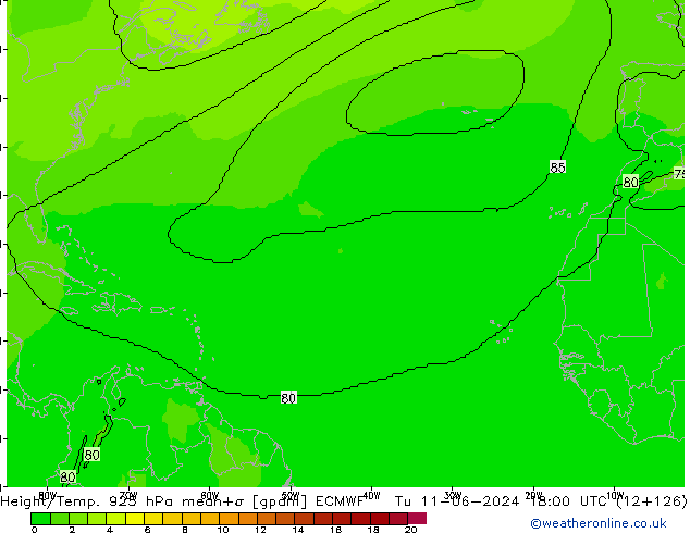 Height/Temp. 925 гПа ECMWF вт 11.06.2024 18 UTC