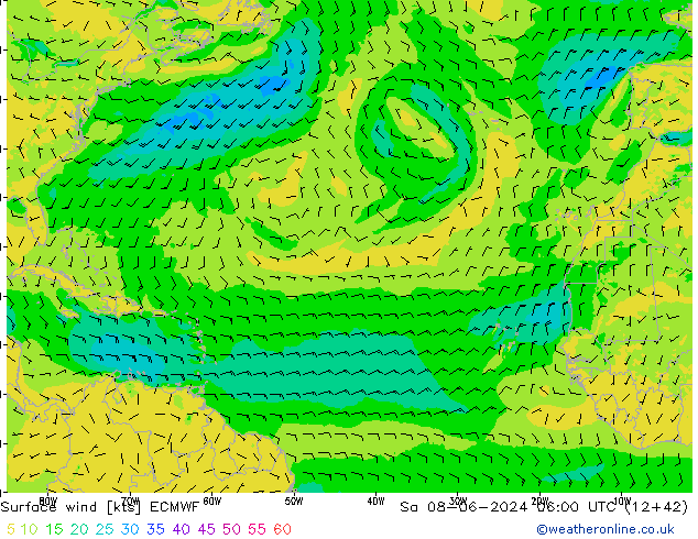 wiatr 10 m ECMWF so. 08.06.2024 06 UTC