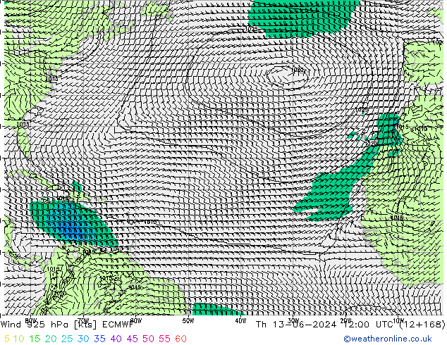 Wind 925 hPa ECMWF Th 13.06.2024 12 UTC