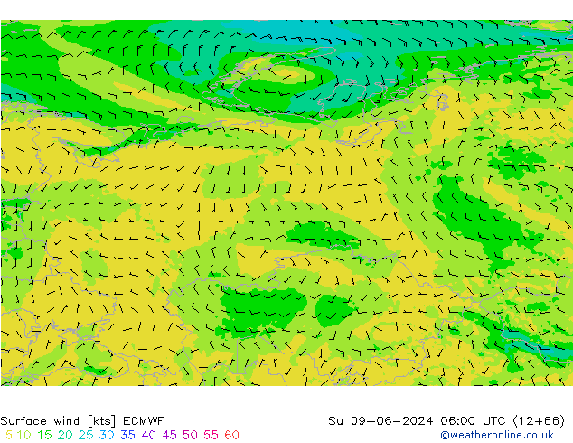 Rüzgar 10 m ECMWF Paz 09.06.2024 06 UTC