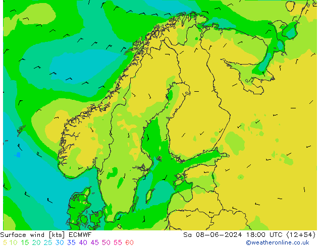 Viento 10 m ECMWF sáb 08.06.2024 18 UTC