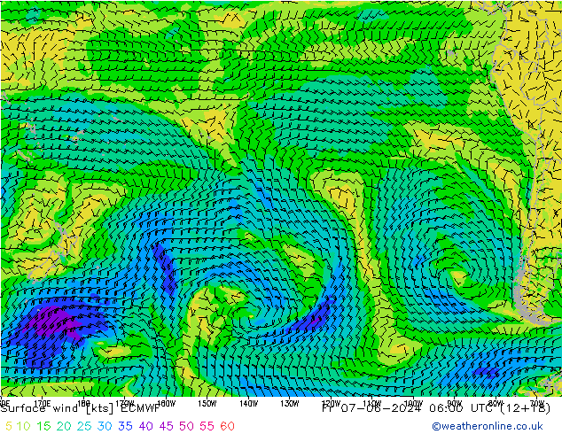  10 m ECMWF  07.06.2024 06 UTC