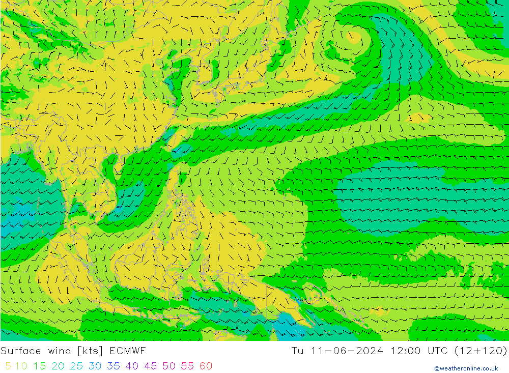 Surface wind ECMWF Út 11.06.2024 12 UTC