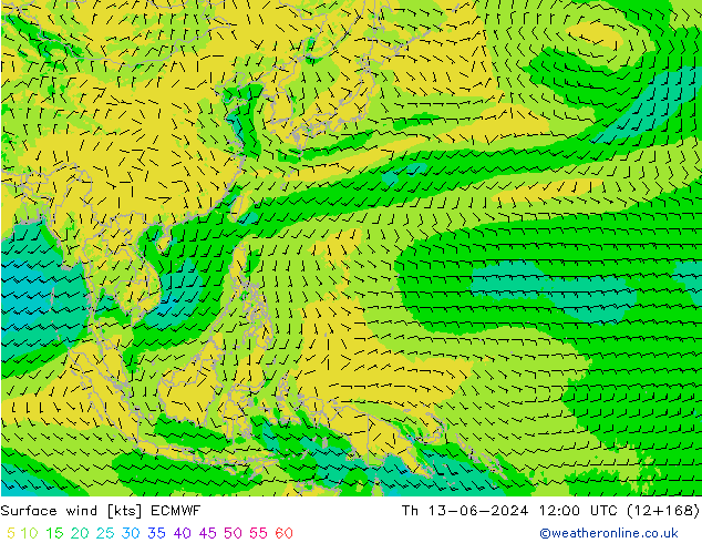 Wind 10 m ECMWF do 13.06.2024 12 UTC