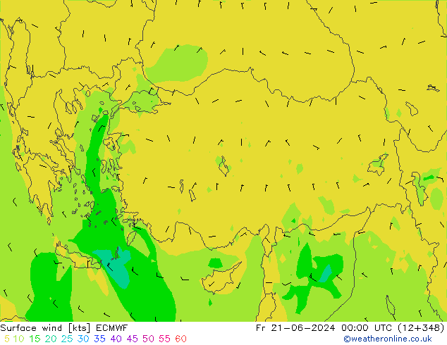 Surface wind ECMWF Fr 21.06.2024 00 UTC