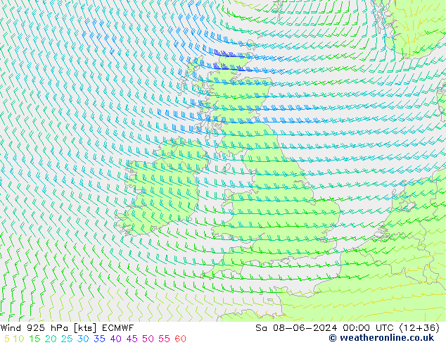 Viento 925 hPa ECMWF sáb 08.06.2024 00 UTC