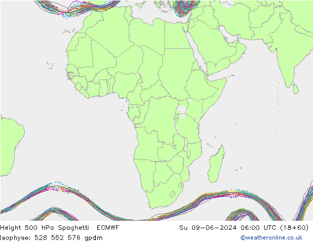 Height 500 hPa Spaghetti ECMWF dom 09.06.2024 06 UTC