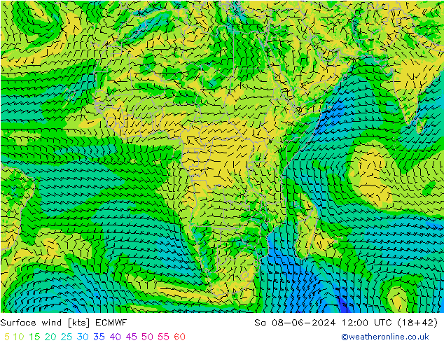 ветер 10 m ECMWF сб 08.06.2024 12 UTC