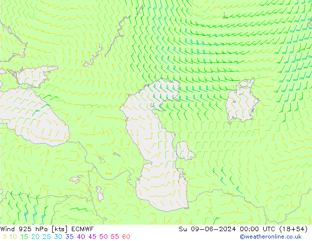 wiatr 925 hPa ECMWF nie. 09.06.2024 00 UTC