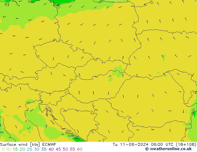  10 m ECMWF  11.06.2024 06 UTC