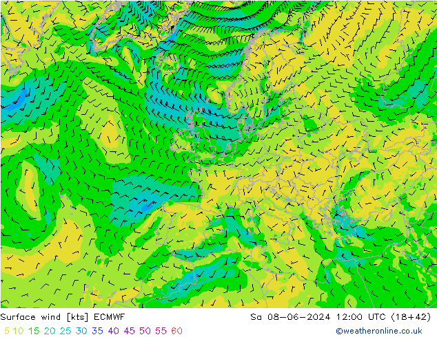 Surface wind ECMWF Sa 08.06.2024 12 UTC