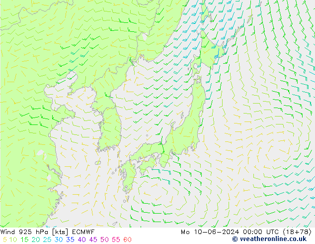 ветер 925 гПа ECMWF пн 10.06.2024 00 UTC