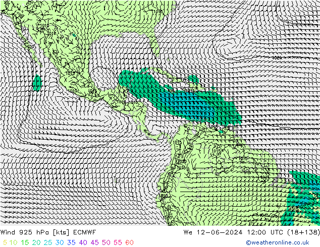 Wind 925 hPa ECMWF wo 12.06.2024 12 UTC