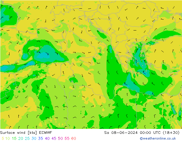 Surface wind ECMWF So 08.06.2024 00 UTC