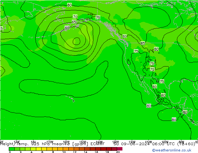 Height/Temp. 925 hPa ECMWF Dom 09.06.2024 06 UTC