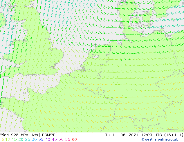 Rüzgar 925 hPa ECMWF Sa 11.06.2024 12 UTC