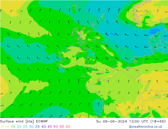 Surface wind ECMWF Ne 09.06.2024 12 UTC