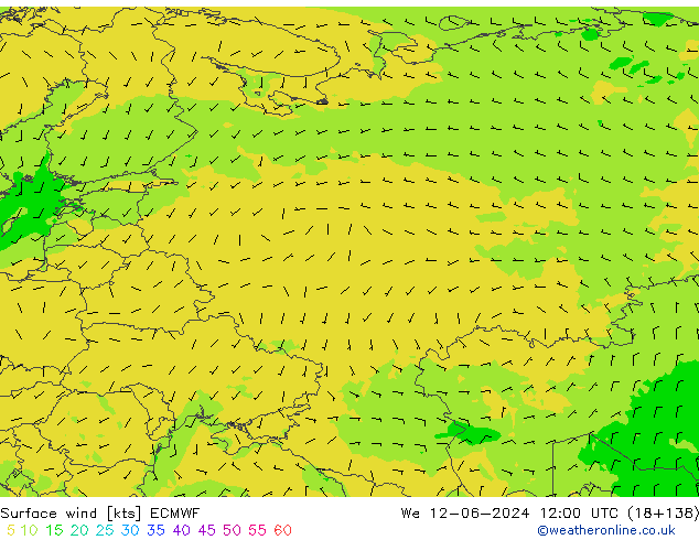 Surface wind ECMWF We 12.06.2024 12 UTC