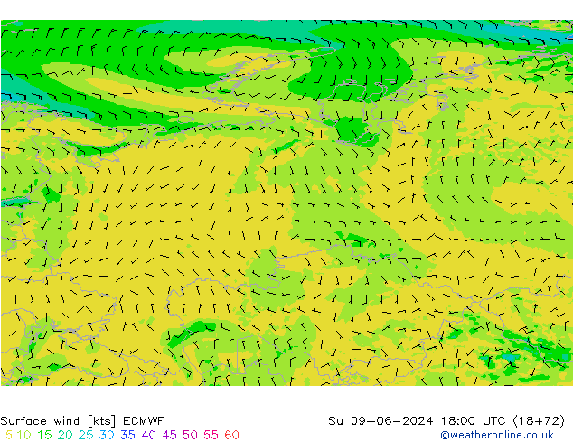 Surface wind ECMWF Su 09.06.2024 18 UTC