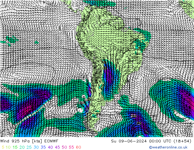wiatr 925 hPa ECMWF nie. 09.06.2024 00 UTC