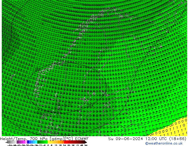 Height/Temp. 700 hPa ECMWF dom 09.06.2024 12 UTC