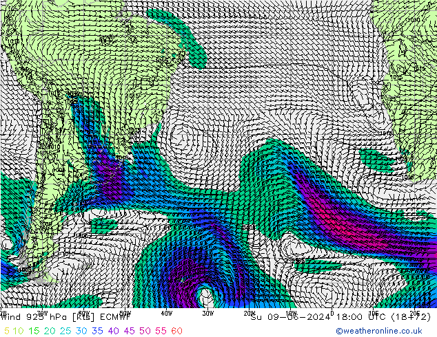 Vento 925 hPa ECMWF Dom 09.06.2024 18 UTC