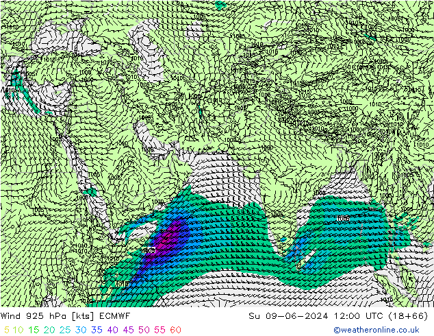 wiatr 925 hPa ECMWF nie. 09.06.2024 12 UTC