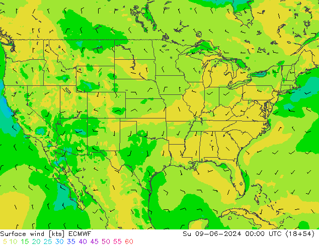 ветер 10 m ECMWF Вс 09.06.2024 00 UTC