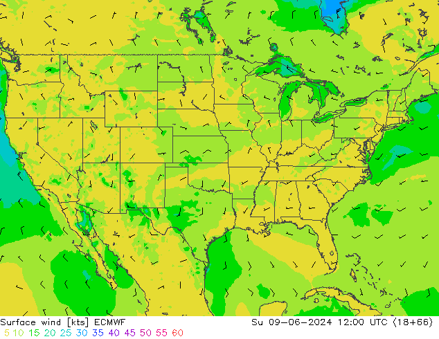 Vento 10 m ECMWF Dom 09.06.2024 12 UTC