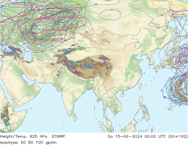 Height/Temp. 925 hPa ECMWF  15.06.2024 00 UTC