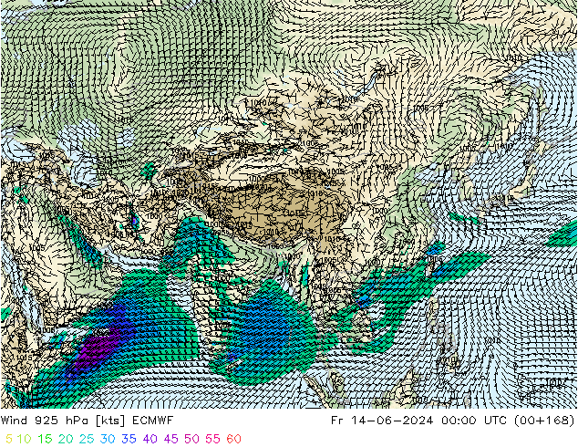 Wind 925 hPa ECMWF Fr 14.06.2024 00 UTC