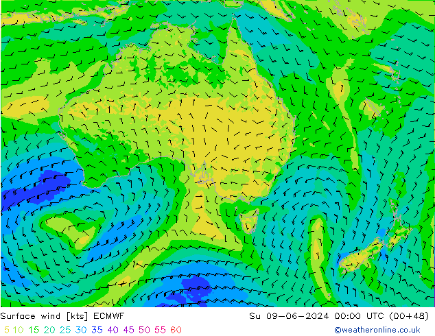 Surface wind ECMWF Su 09.06.2024 00 UTC