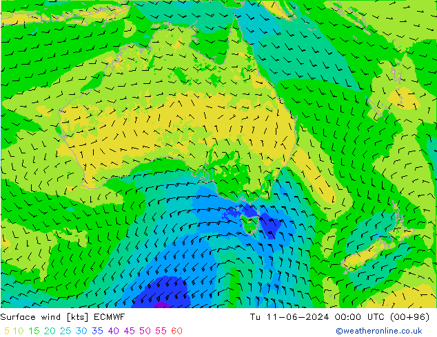 wiatr 10 m ECMWF wto. 11.06.2024 00 UTC