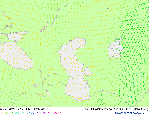 Vento 925 hPa ECMWF ven 14.06.2024 12 UTC