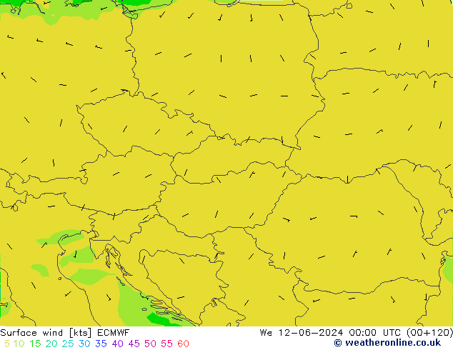 Surface wind ECMWF We 12.06.2024 00 UTC