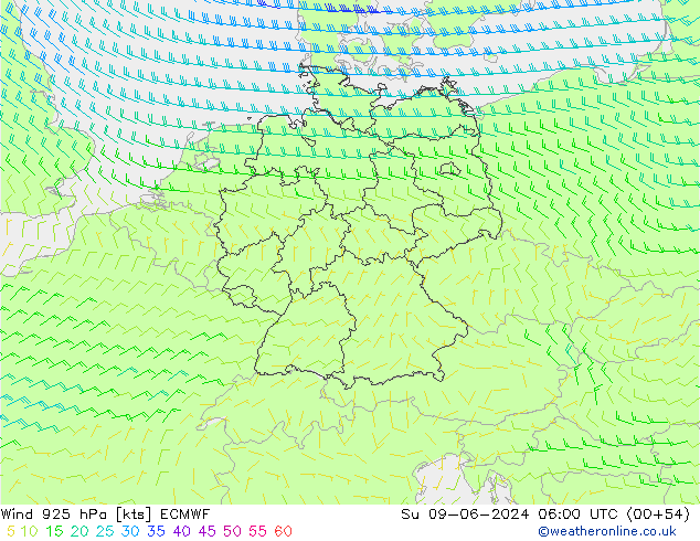 Wind 925 hPa ECMWF zo 09.06.2024 06 UTC