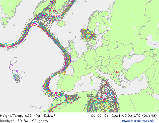 Height/Temp. 925 hPa ECMWF Su 09.06.2024 00 UTC