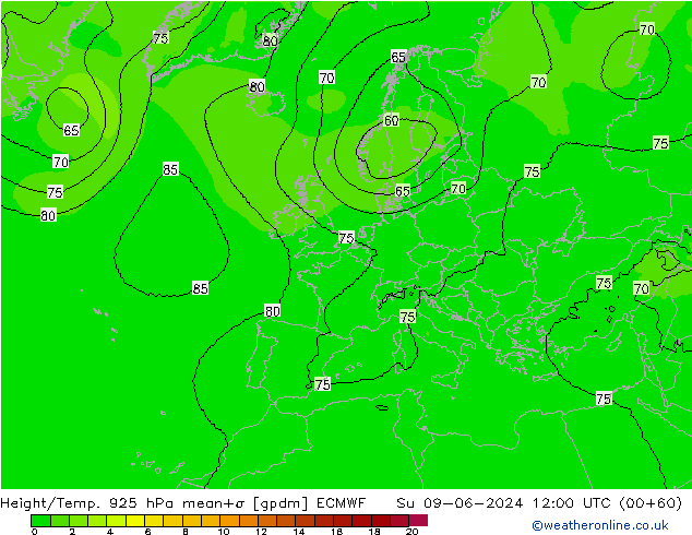 Height/Temp. 925 hPa ECMWF Su 09.06.2024 12 UTC