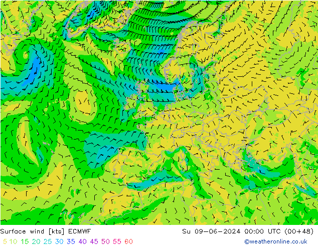 Vento 10 m ECMWF dom 09.06.2024 00 UTC