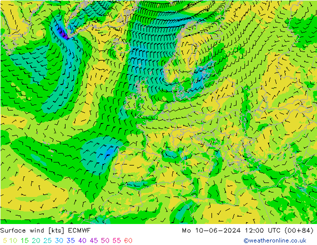 Vento 10 m ECMWF Seg 10.06.2024 12 UTC