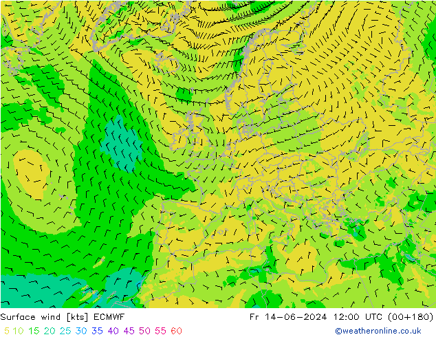 Vent 10 m ECMWF ven 14.06.2024 12 UTC