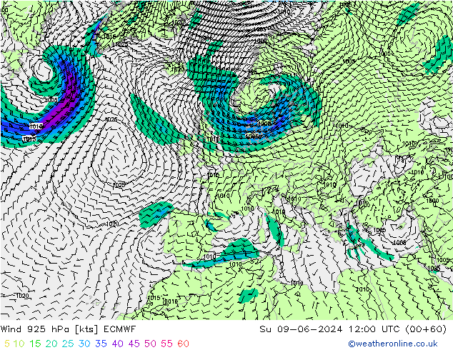 Wind 925 hPa ECMWF Su 09.06.2024 12 UTC