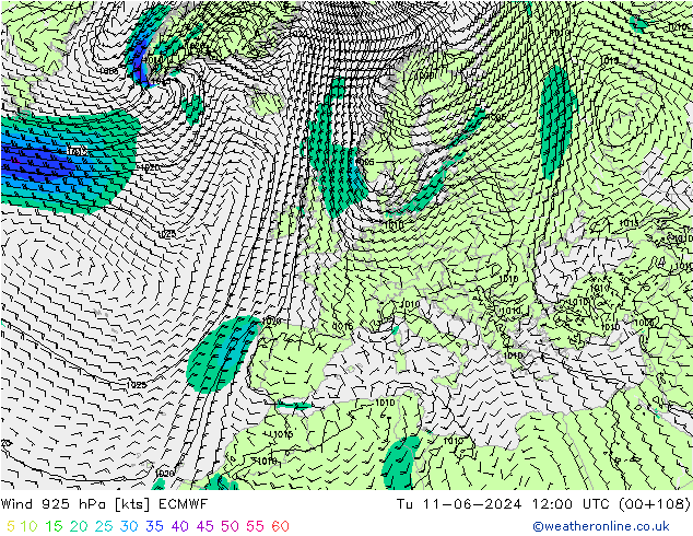 Wind 925 hPa ECMWF Di 11.06.2024 12 UTC