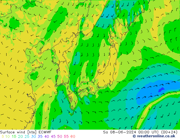 Viento 10 m ECMWF sáb 08.06.2024 00 UTC