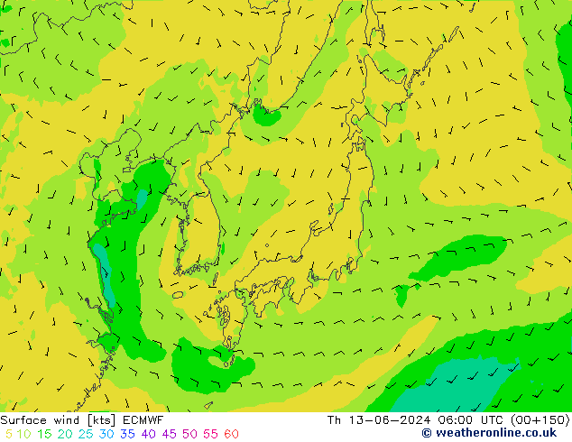 Wind 10 m ECMWF do 13.06.2024 06 UTC