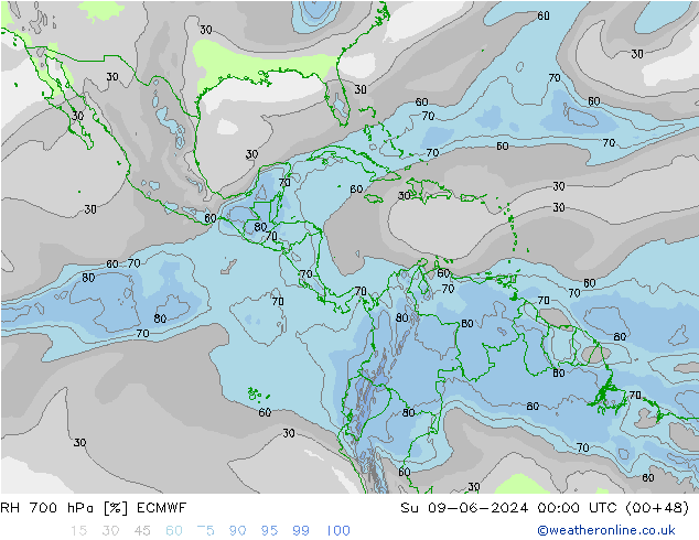 RH 700 hPa ECMWF  09.06.2024 00 UTC