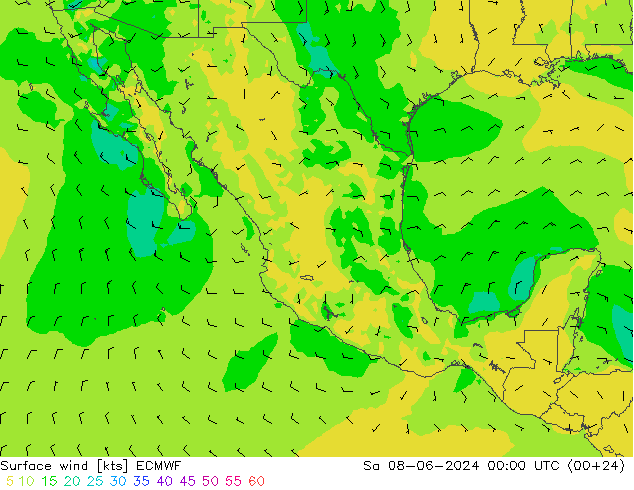 Viento 10 m ECMWF sáb 08.06.2024 00 UTC